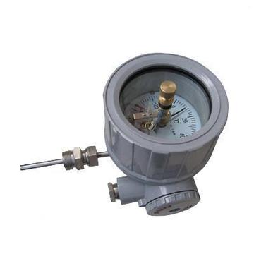 防爆电接点双金属温度计WSSX-481B